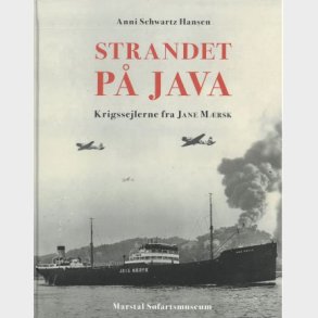 Strandet p Java