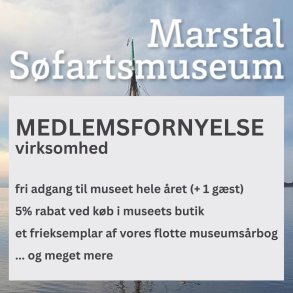 MEDLEMSFORNYELSE - Virksomhed