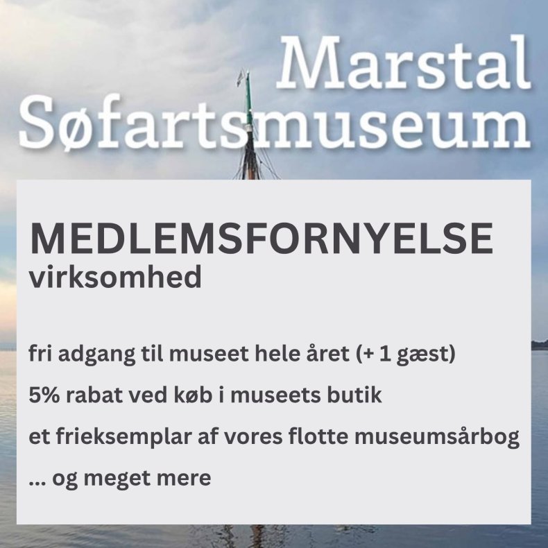MEDLEMSFORNYELSE - Virksomhed