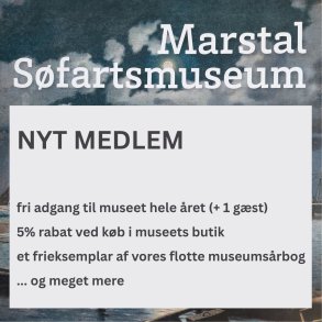 NYT MEDLEM