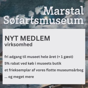NYT MEDLEM - virksomhed